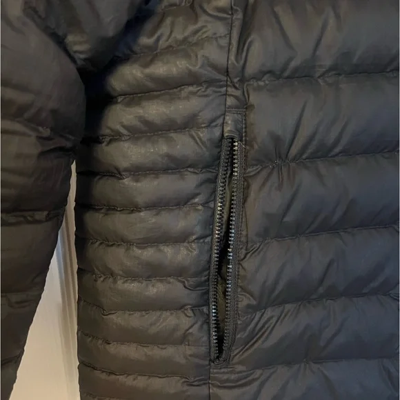 Patagonia Down Sweater Hoodie